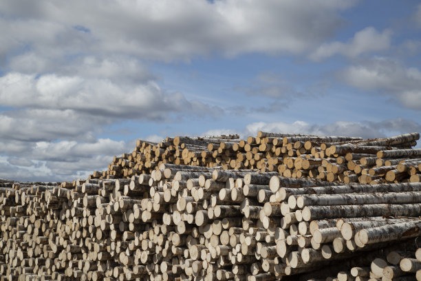 锯木厂的仓库。图片下载