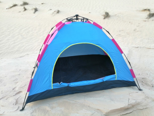 阿拉伯沙漠野外露营(阿联酋迪拜)图片下载