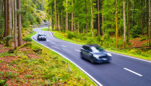 林中路。模糊的车灯。森林景观。快速交通。大分辨率照片设计。图片下载