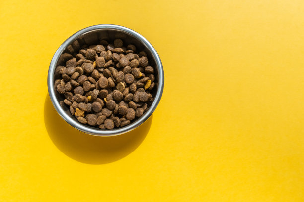 狗粮在宠物碗的黄色背景图片下载
