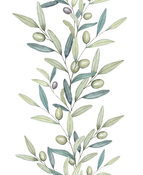 橄榄枝编成的无缝花环，以橄榄枝为镶边。水彩手绘插图。图片下载