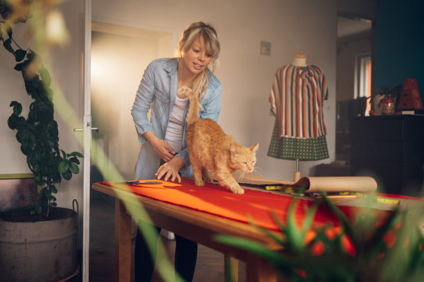 女裁缝在家工作，和一只宠物猫一起剪裁漂亮的衣服图片下载