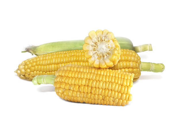 在白色背景上分离的玉米图片下载