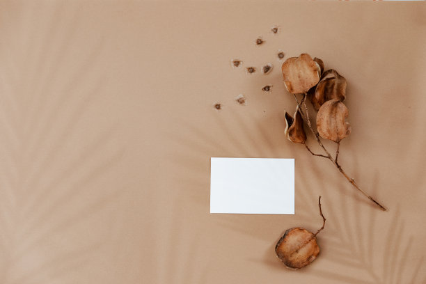 最小的美学背景与空白卡和干燥的花卉分枝在米色背景。婚礼邀请函模板。平面布局，俯视图，模拟，复制空间n图片下载
