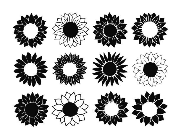 向日葵剪影矢量插图。图片下载