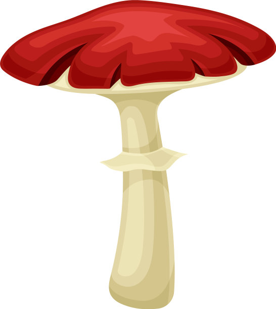 野生森林毒蘑菇，红帽图片下载