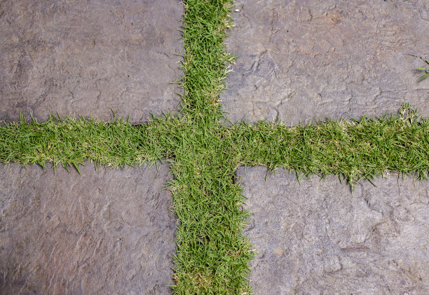 从俯视图看，在地板上的瓷砖之间生长的草的照片图片下载