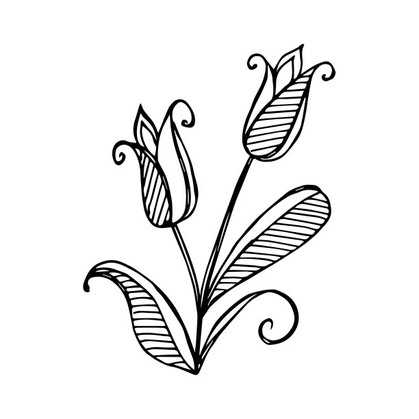 手绘花单色元素，黑白矢量图像图片下载