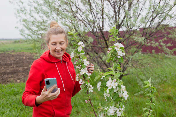 一名成熟微笑的女子在社交媒体上打电话聊天，展示了她花园里一棵盛开的苹果树图片下载