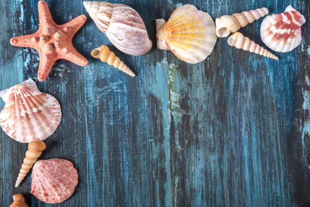 木制背景上的贝壳和海星框架图片下载
