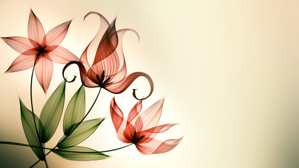 抽象的花朵背景图片下载