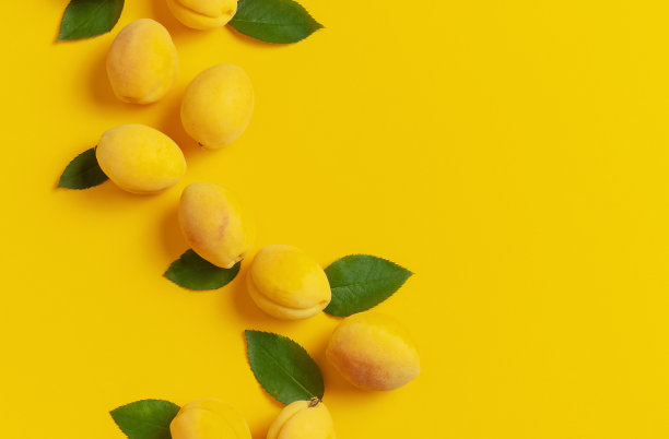 成熟新鲜的杏子，黄色底色的绿叶。平面布局，俯视图，拷贝空间。新鲜的有机杏，减肥纯素食品。创意杏模式。收获的概念图片下载