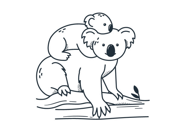 可爱的考拉。简单的插图在涂鸦风格孤立在白色背景。手工绘制。野生动物。图片下载