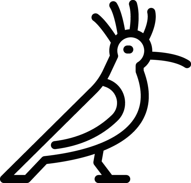 戴胜鸟图片下载