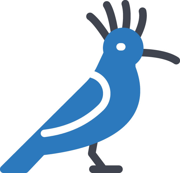 戴胜鸟图片下载