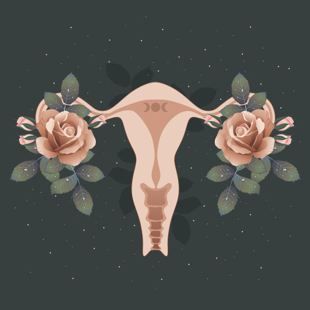 人类子宫开花的插图。图片下载