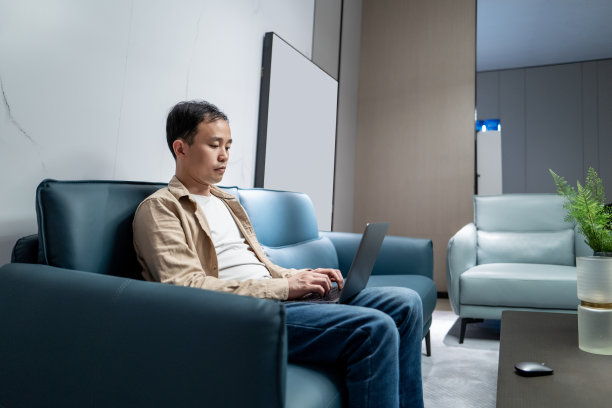 一位中国白领坐在沙发上使用电脑图片下载