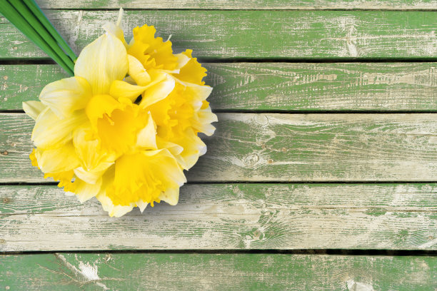 黄色水仙花的花束，水仙在绿色的木制背景与拷贝空间图片下载