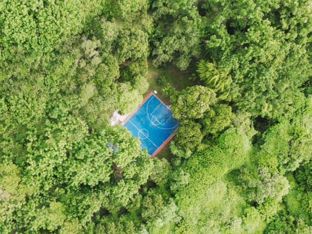 空中篮球场在森林里的树木之间图片下载