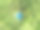 空中篮球场在森林里的树木之间图片下载