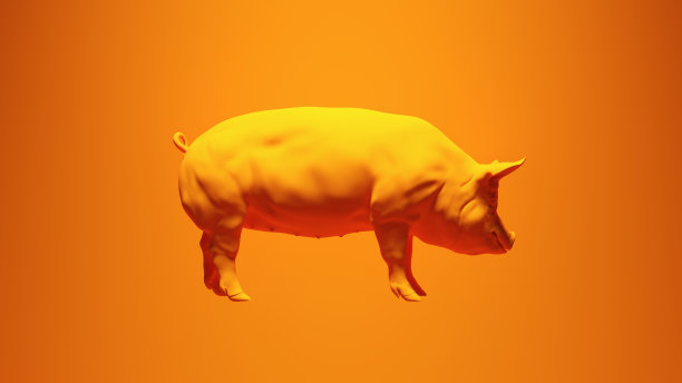 橙色小猪智能动物明亮充满活力图片下载