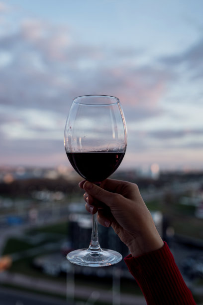 夕阳下浪漫的一杯葡萄酒图片下载