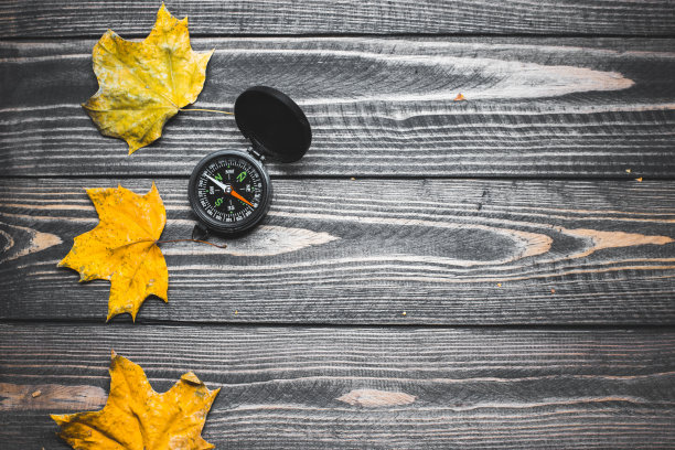 背景上的树叶指南针图片下载