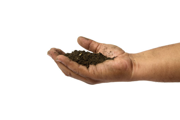 手握花园尘垢孤立在白色图片下载