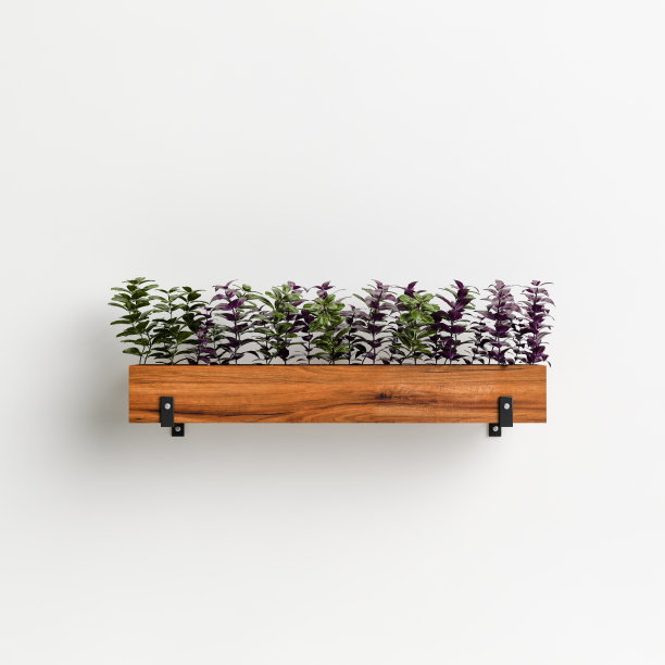 3d插图墙盆栽蔬菜隔离在白色背景图片下载