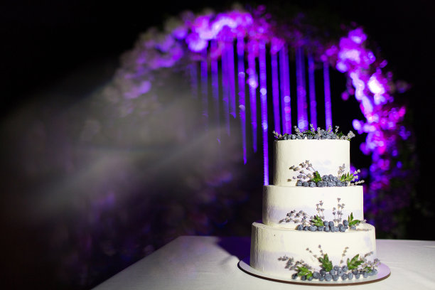白色的婚礼蛋糕装饰蓝莓在一个紫色发光的拱门的背景图片下载