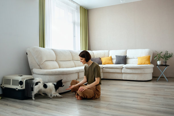 主人和她的狗在家里锻炼。图片下载