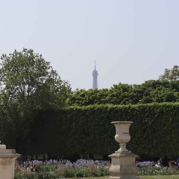 巴黎的大教堂图片下载