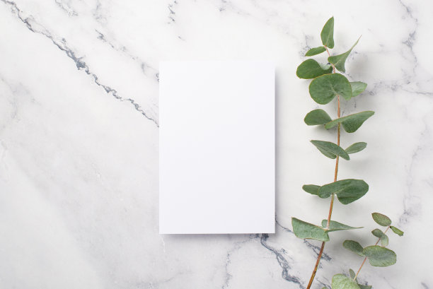 俯视图照片的纸卡和桉树枝在白色大理石背景与空白图片下载