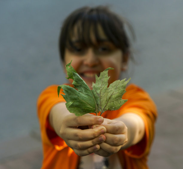 小女孩献上一片叶子图片下载
