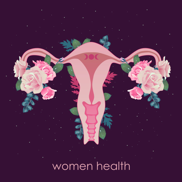 美丽的雌性生殖系统与花。图片下载