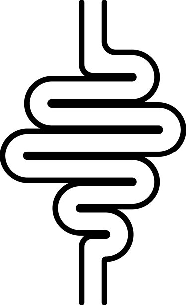 图标消化道肠道肠胃健康肠胃图片下载