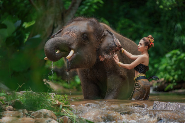一个女孩和一头大象在水里图片下载