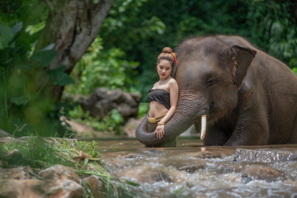 泰国，一名妇女和一头大象站在河中图片下载