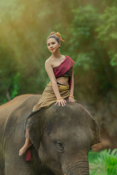 美丽的女人穿着传统的泰国服装骑着大象。图片下载