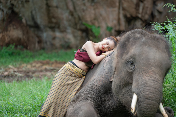 一个美丽的女人穿着传统的泰国服装和一头大象。图片下载