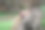 一个美丽的女人穿着传统的泰国服装和一头大象。图片下载