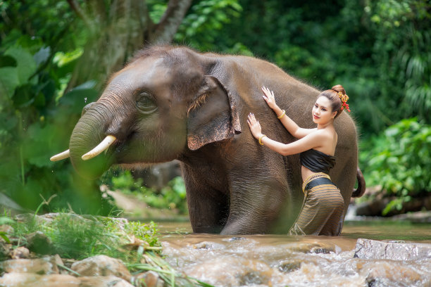 泰国，一名妇女和一头大象站在河中图片下载