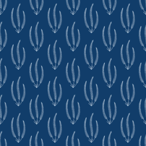 天竺葵的无缝图案图片下载