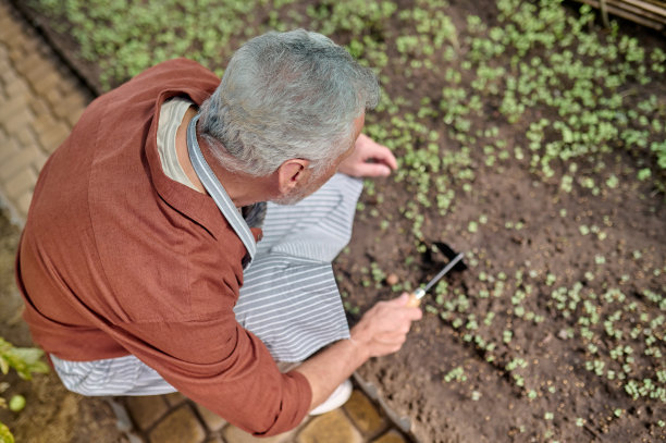 人与幼苗摇晃地面的俯视图图片下载