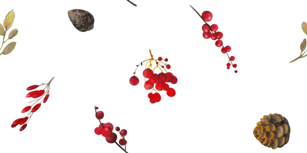 水彩无缝背景，图案与冬季，新年的装饰:树枝和串串球果，红色浆果在白色的背景。节日冬装印花纺织品、包装纸、图片下载