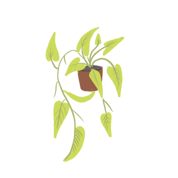 手绘插画家绿色植物在花盆。图片下载