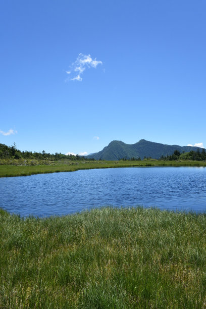在高海拔的湿地中有许多湖泊图片下载