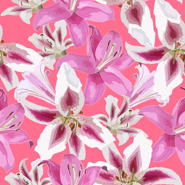 无缝图案与百合在粉红色白色和图片下载