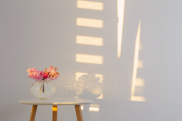 春天的花朵在玻璃花瓶在阳光下的背景白墙图片下载