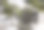 顺化皇宫的龙形扶手图片下载